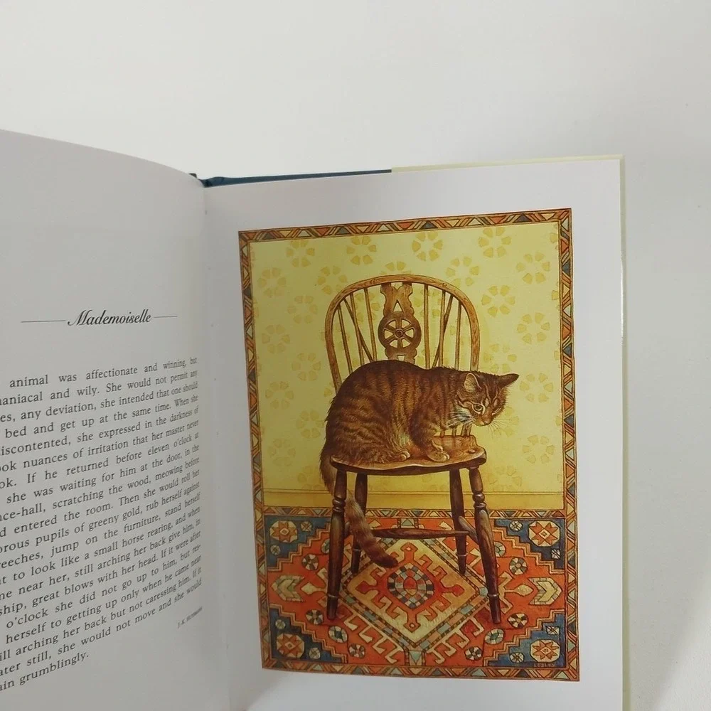 Glorious Cats -‎ Hardcover By Ivory, Lesley Anne - GOOD
